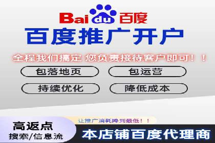 案例解读：SEM代理助力电商销量翻倍